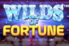 Wild Fortune Casino Review: Overview and Features.